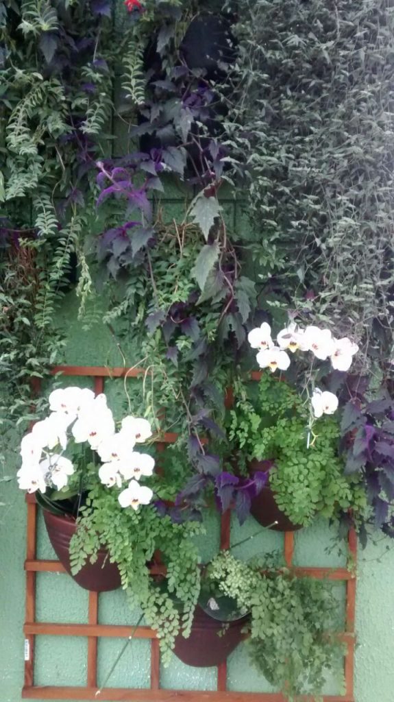 Paisagismo - Jardim vertical com orquídeas